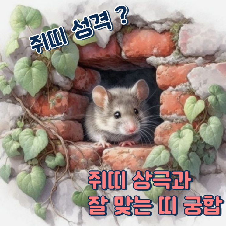  쥐띠와 잘 맞는 띠 (상극, 성격, 장점, 단점)