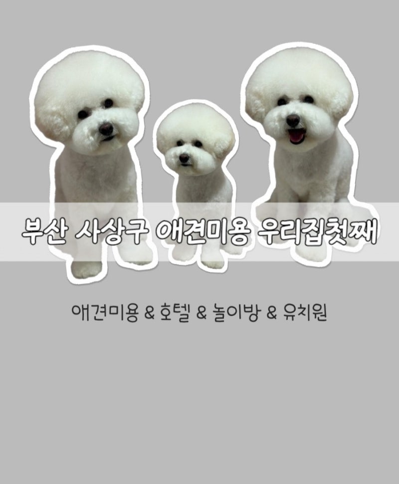 사진 2