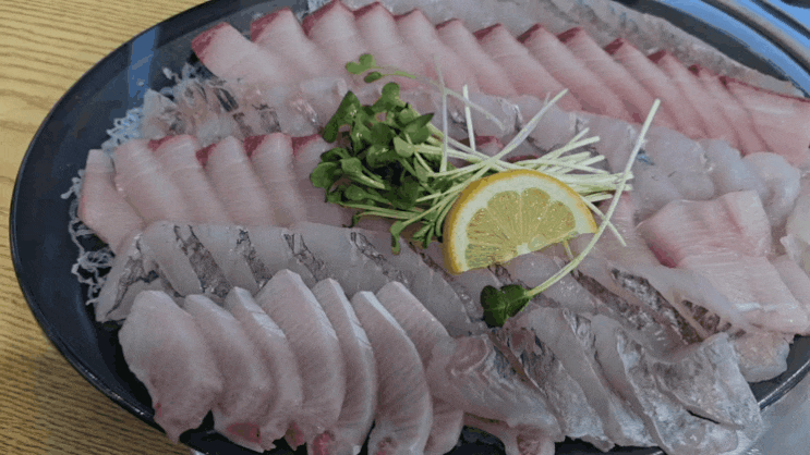  [수원 성균관대역 맛집] 국가대표 회센터 수원성대본점 /