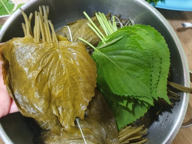 단풍 깻잎 삭히기/깻잎 삭히기/콩잎 삭히기/단풍 콩잎 삭히기/소금물 비율농도