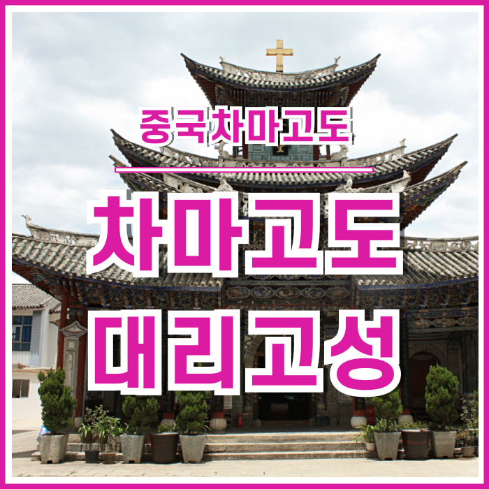  [차마고도] 한달살기 하고 싶은 다리(大理)의 다리고성 걷기 : 중국여행의추억
