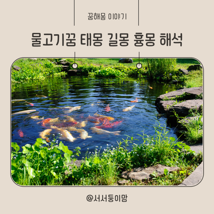  물고기꿈 태몽 상황별 해몽 물고기 나오는 꿈 큰물고기 보는꿈 길몽 흉몽