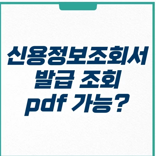  본인 일반 신용정보조회서 발급 조회 pdf 저장