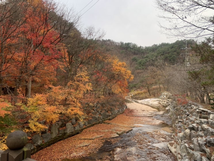  송추역 북한산국립공원 늦가을단풍