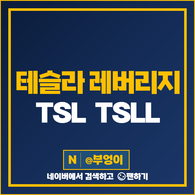 테슬라 관련주 레버리지 미국 ETF 투자 방법 TSL TSLL 주가 배당 테슬라 관련주 레버리지 미국 ETF 투자 방법 TSL TSLL 주가 배당