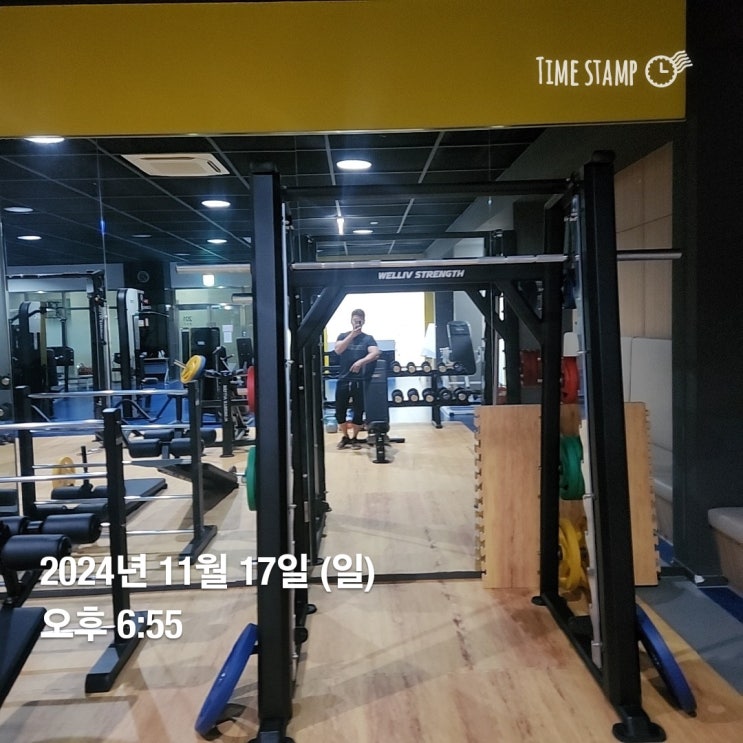  [운동기록]24년 11월 17일 전신운동(프론트스쿼트, 푸쉬업, 풀업, 해머컬, 숄더프레스, 덤벨컬)