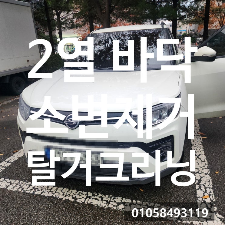  티볼리 차량 2열바닥 소변제거 작업후기
