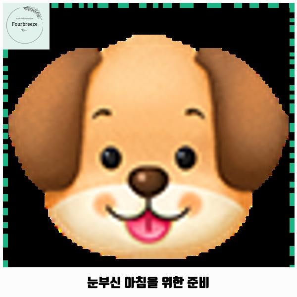 사진 6