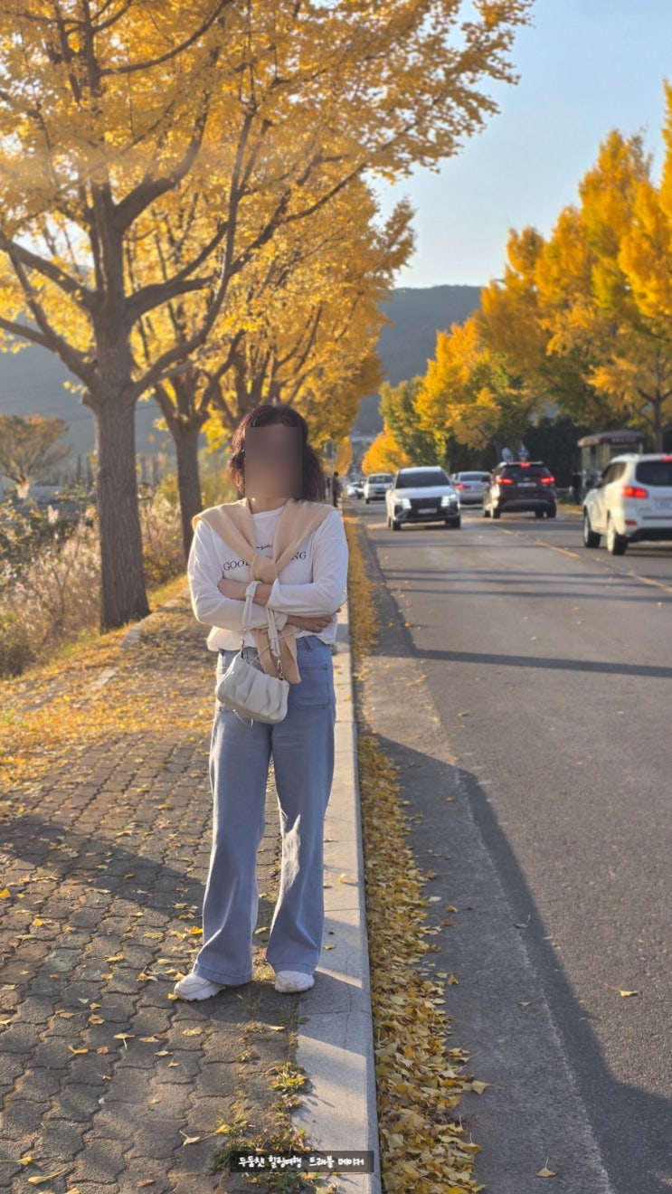  경주 통일전 은행나무, 서출지 가을 국내여행지 추천