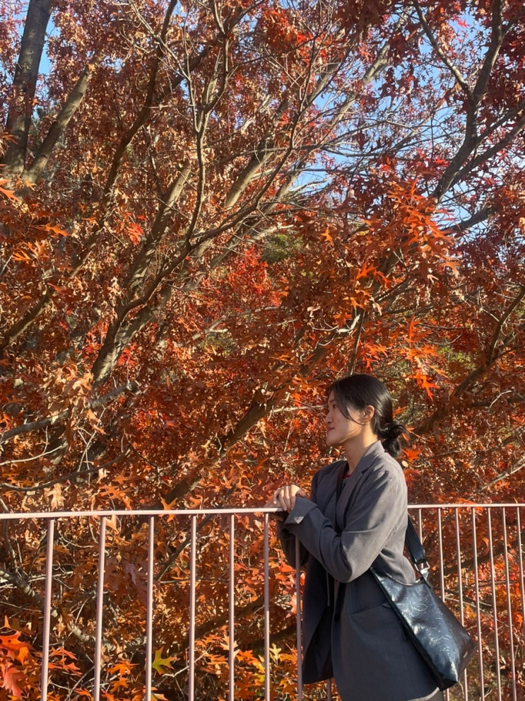  공주 카페 엔학고레 불장골저수지 가을 단풍 주말 웨이팅 주차 꿀팁