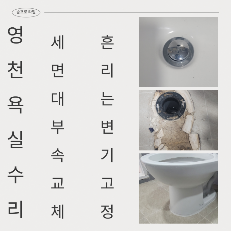  영천 욕실 고민 해결! 변기 흔들림과 세면대 푸시 교체하기