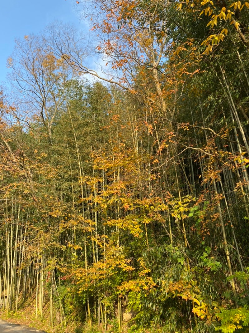 사진 2