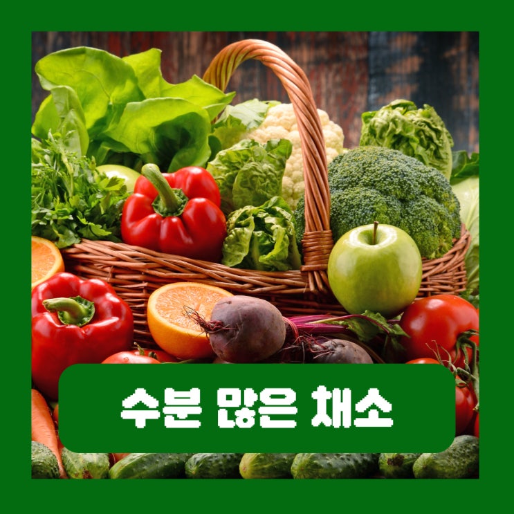  수분 많은 음식 채소 순위 TOP10 물먹기 힘든 사람 주목!