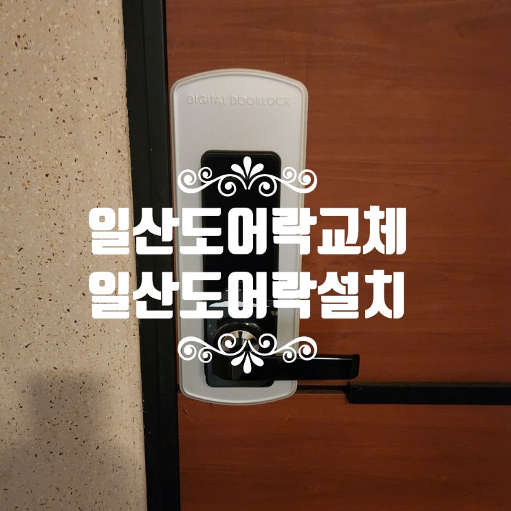  일산열쇠 긴급 도어락교체! 일산동 산들마을3단지 번호키 설치