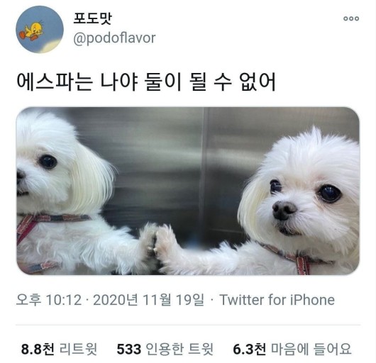 위플래쉬 영화 후기 (위플래쉬는 하나야 둘이 될 순 없어)
