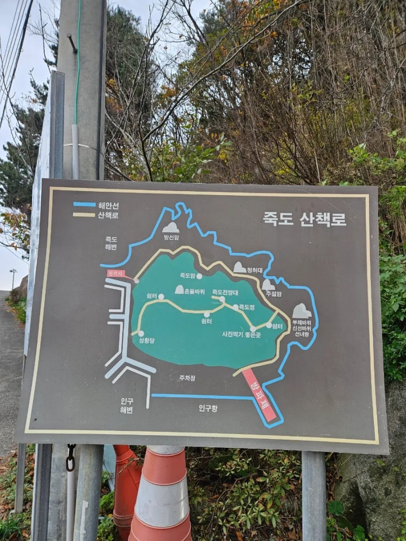 사진 9