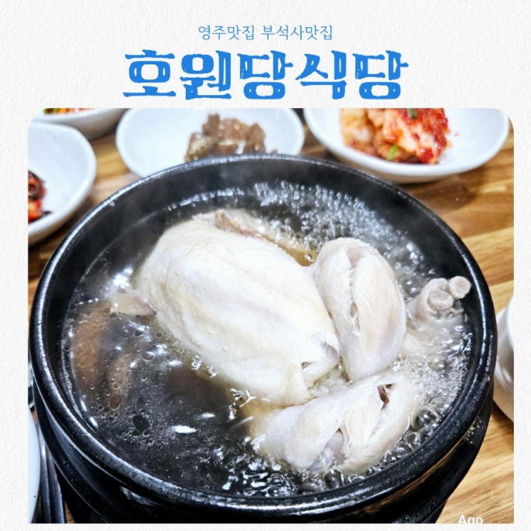  영주맛집 호원당식당 feat 삼계탕맛집