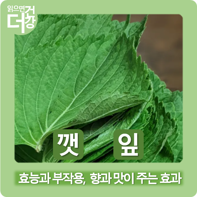깻잎 효능 부작용, 향과 맛이 주는 효과들