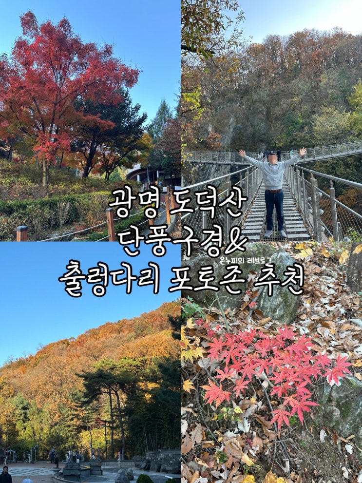  서울 근교 광명 도덕산 맑은 공기 마시며 단풍 구경하기 딱 좋은 짧은 등산 코스와 출렁다리