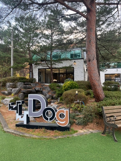 사진 2