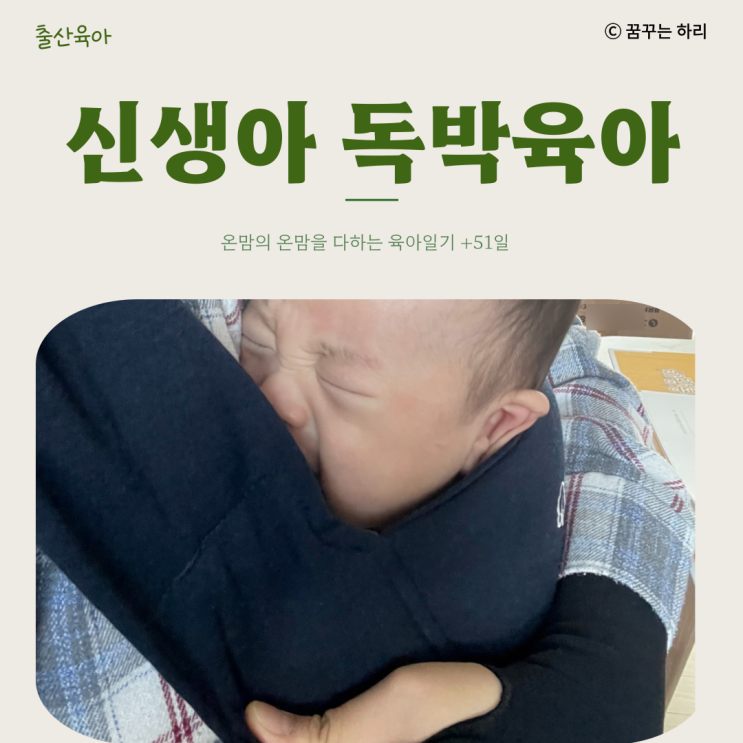  온맘의 육아일기 D+51일 8주차 수유텀 수면시간 독박육아 신생아독박육아 독박육아스트레스