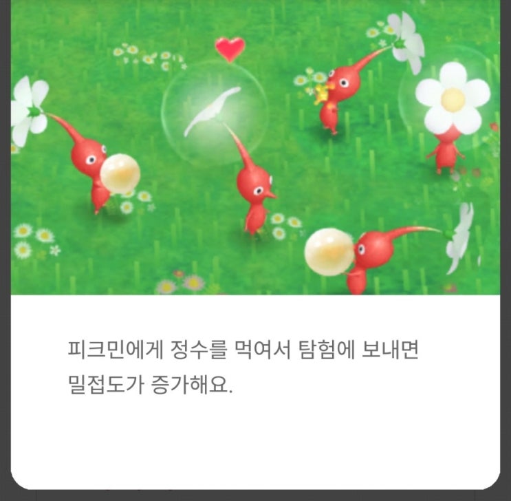  피크민 블룸 공략(3) - 밀접도 올리는법과 데코, 대열 (with 피크민맵)
