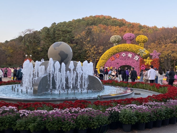  가을 단풍 구경하며 나들이하기 좋은 대구 수목원