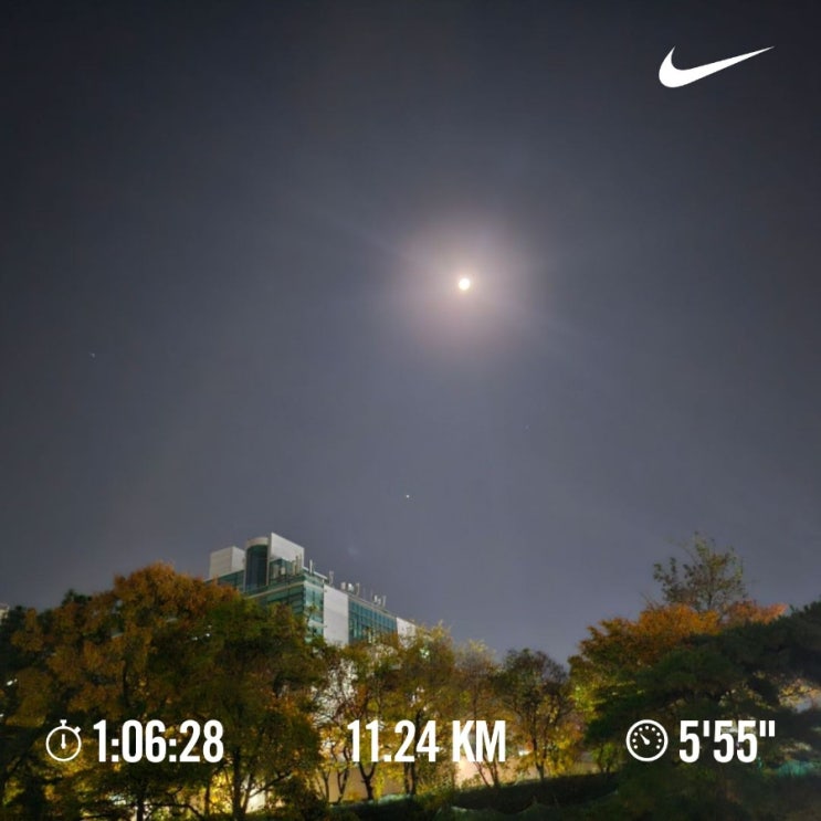 오늘의 [챌린지] 매일 10km 러닝 챌린지 1194일 차