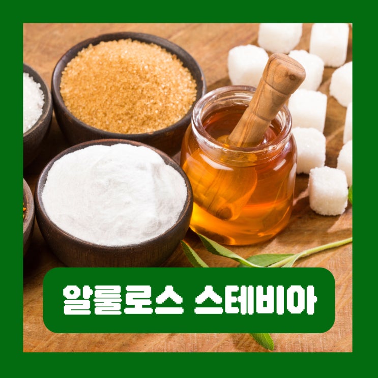  알룰로스 스테비아 차이 대체감미료 부작용