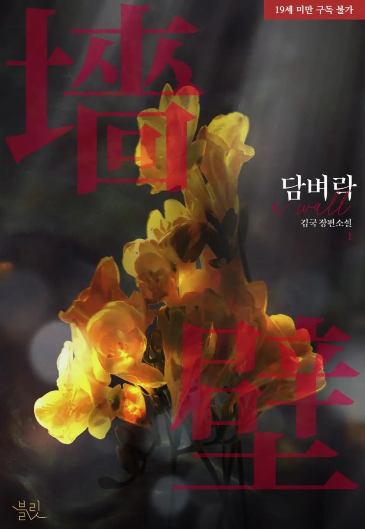 BL소설 리뷰) 김국-담벼락 BL소설 리뷰) 김국-담벼락