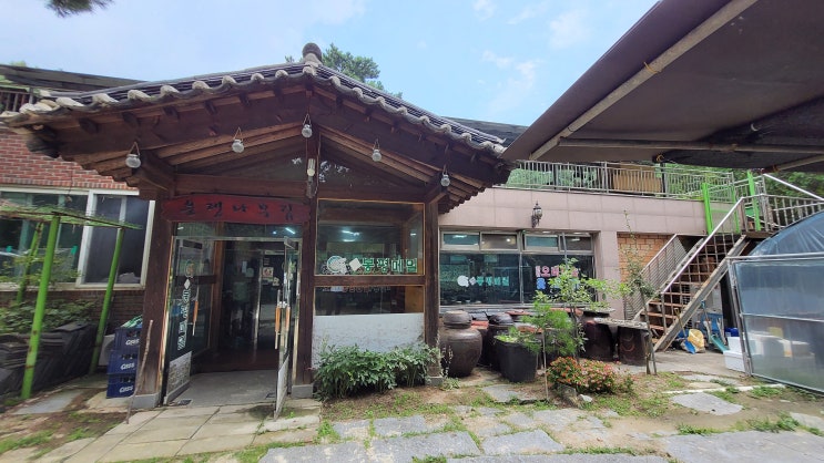  [서울 도봉구 맛집] 은행나무 봉평 메밀 오리바비큐 - 땀 흘린 뒤 먹는 시원한 막국수