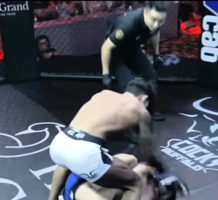  [AFC] 송영재, '프로 MMA 7승' 달성 外