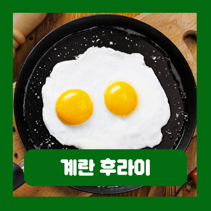  계란 후라이 1개 칼로리 콜레스테롤보단 "이것"이 더 위험