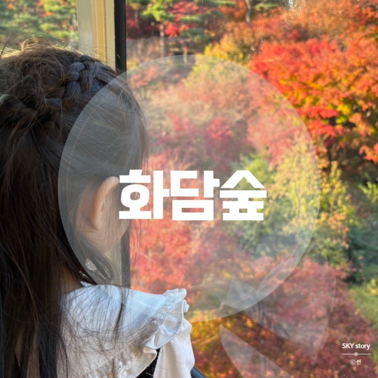 경기도 화담숲 취소표 예약 방법, 주차 꿀팁, 아이랑 단풍구경 다녀온 후기