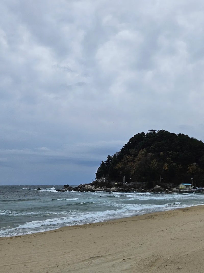 사진 8