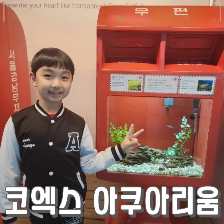  코엑스 아쿠아리움 9살 남자아이와 당일여행