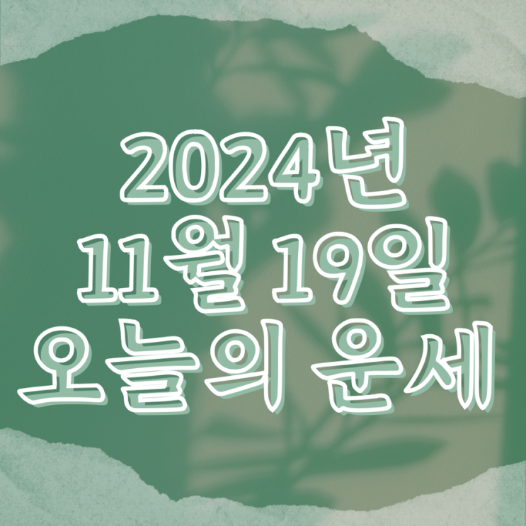  2024년 11월 19일 운세 오늘의운세 띠별운세
