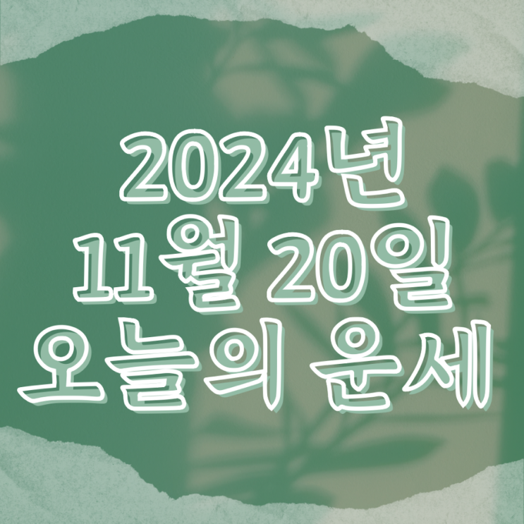  2024년 11월 20일 운세 오늘의운세 띠별운세