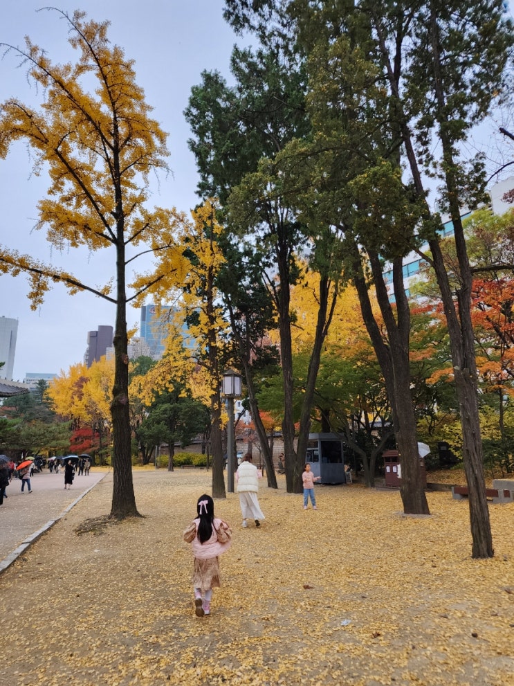  덕수궁에 다녀왔어요.