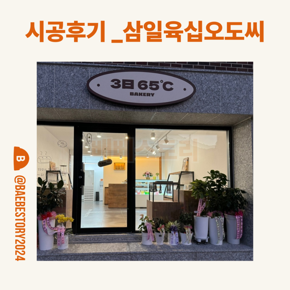 삼일육십오도씨 사진 2