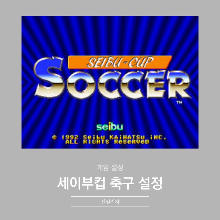  세이부컵 축구 매뉴얼 딥스위치