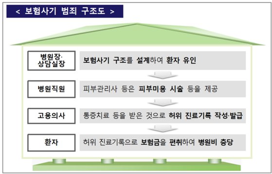 의사·환자 모두 한통속…통증 치료로 보험금 72억 타 미용 시술 했다 의사·환자 모두 한통속…통증 치료로 보험금 72억 타 미용 시술 했다