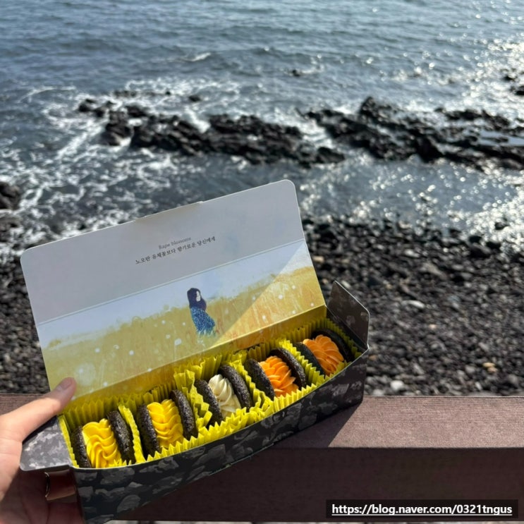 [제주도선물] 제주여행 기념품, 제주 공항 근처 디저트 포장- '돌카롱 제주공항점'