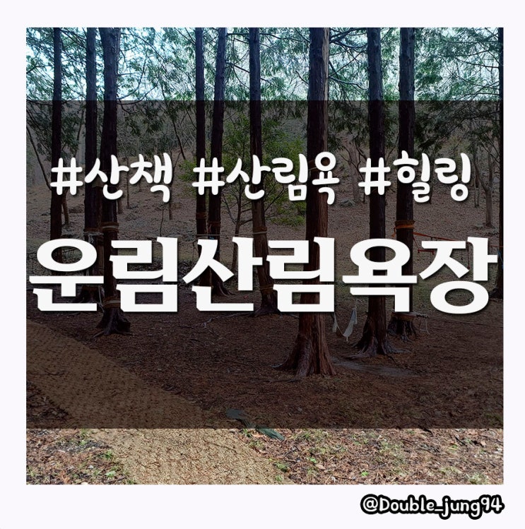  진도 아이들과 함께 가기 좋은 조용한 무장애 숲길 운림산림욕장