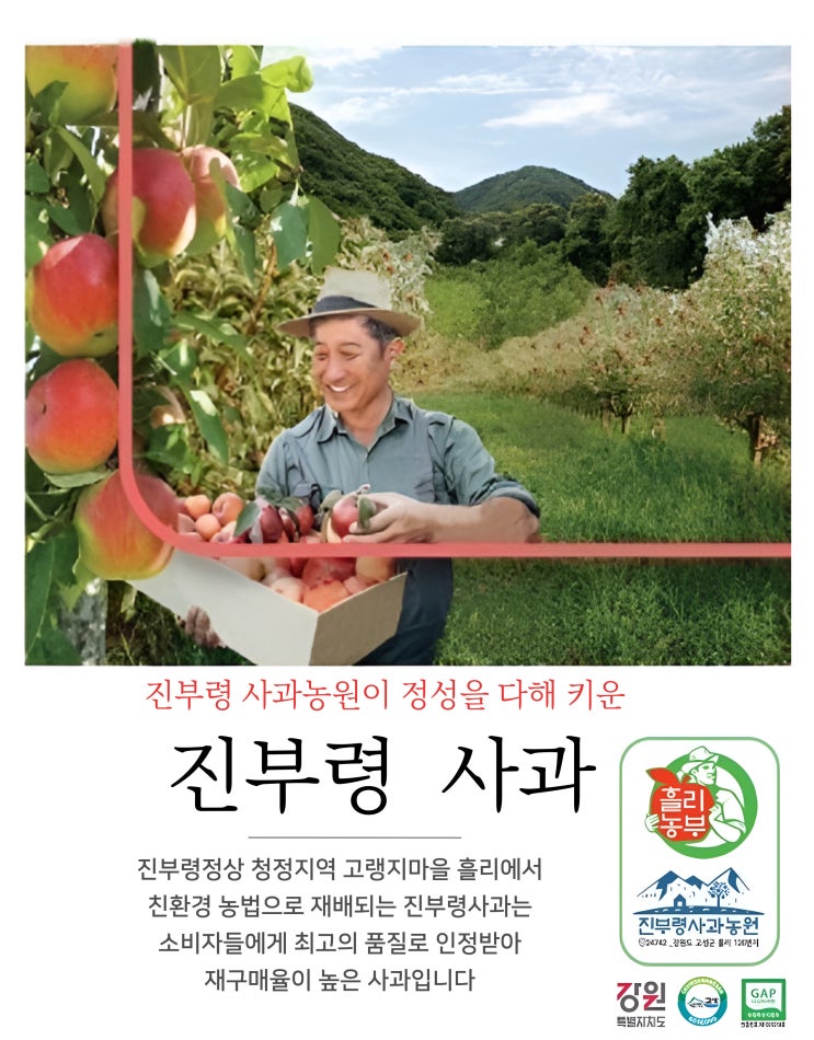  힐링랜드 진부령 청피망과 고랭지사과, 자연이 키운 특별함