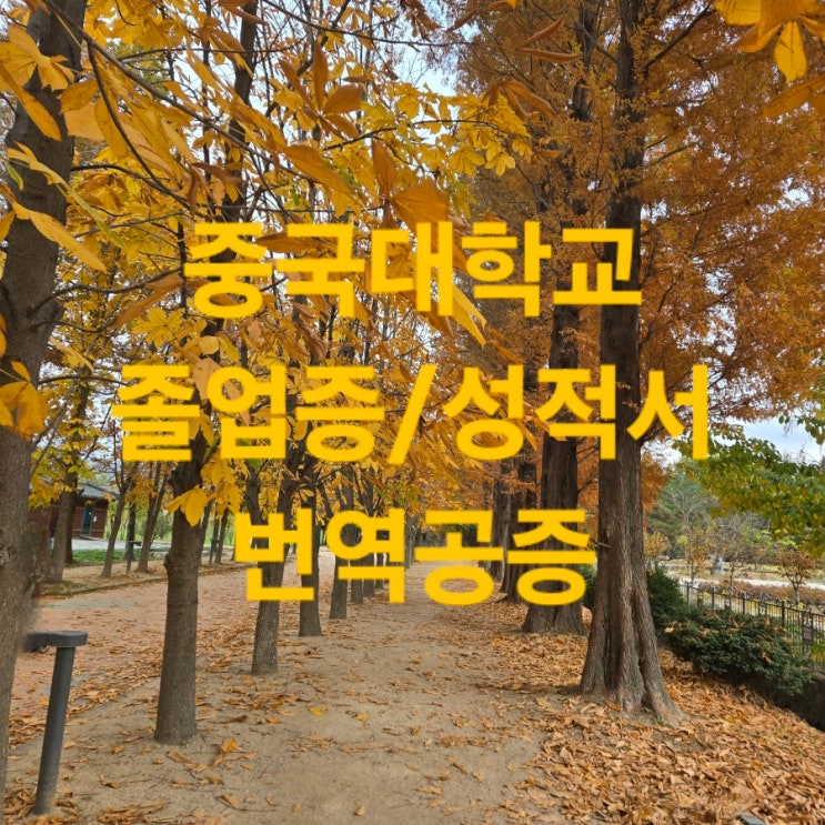  중국대학교 학위증, 성적서 번역공증 촉탁 대행 사례