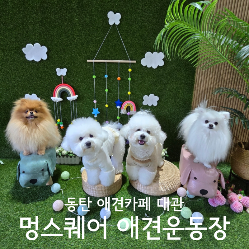 사진 4