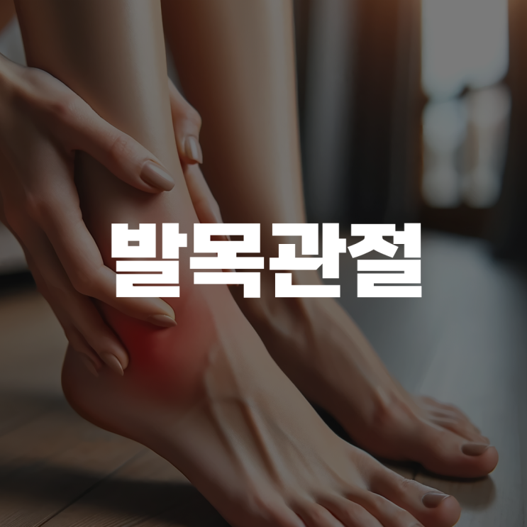 발목 관절의 해부학과 강화 운동 발목 관절의 해부학과 강화 운동