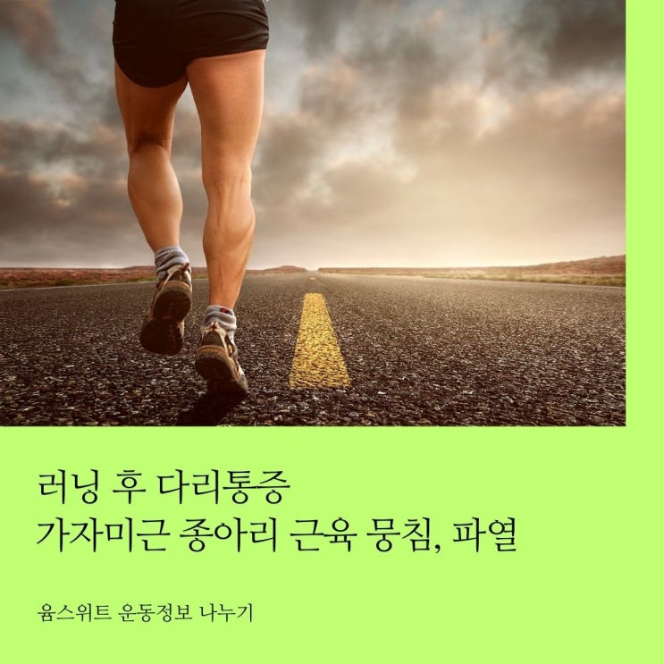  러닝 후 가자미근 종아리 근육 뭉침 파열 통증 치료