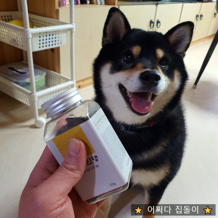  한방트릿 시바견 관절 영양제 잘달린댕 premium 추천해요~